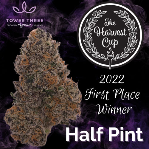 Harvest Cup Winner