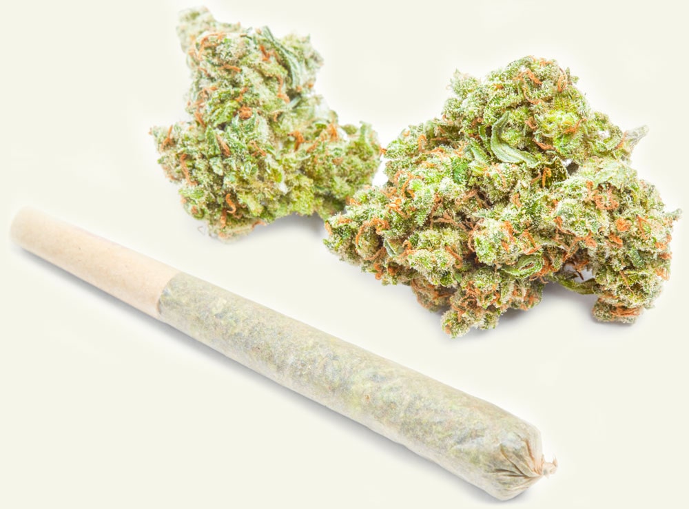 spliff with cannabis buds next to it